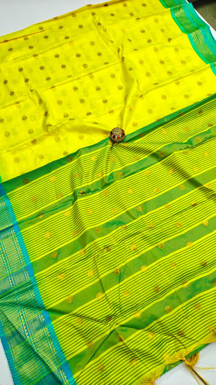 Kanchi silk saree
